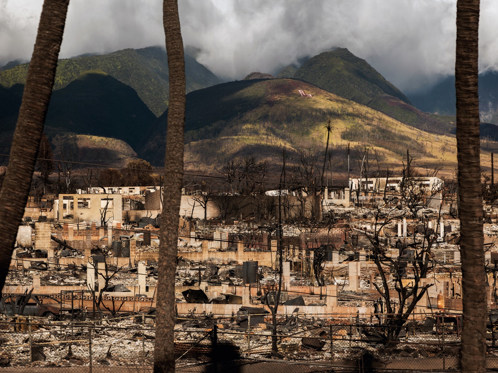 Maui Wildfires Leave Restaurant Workers Devastated&-And Grappling With Tourism