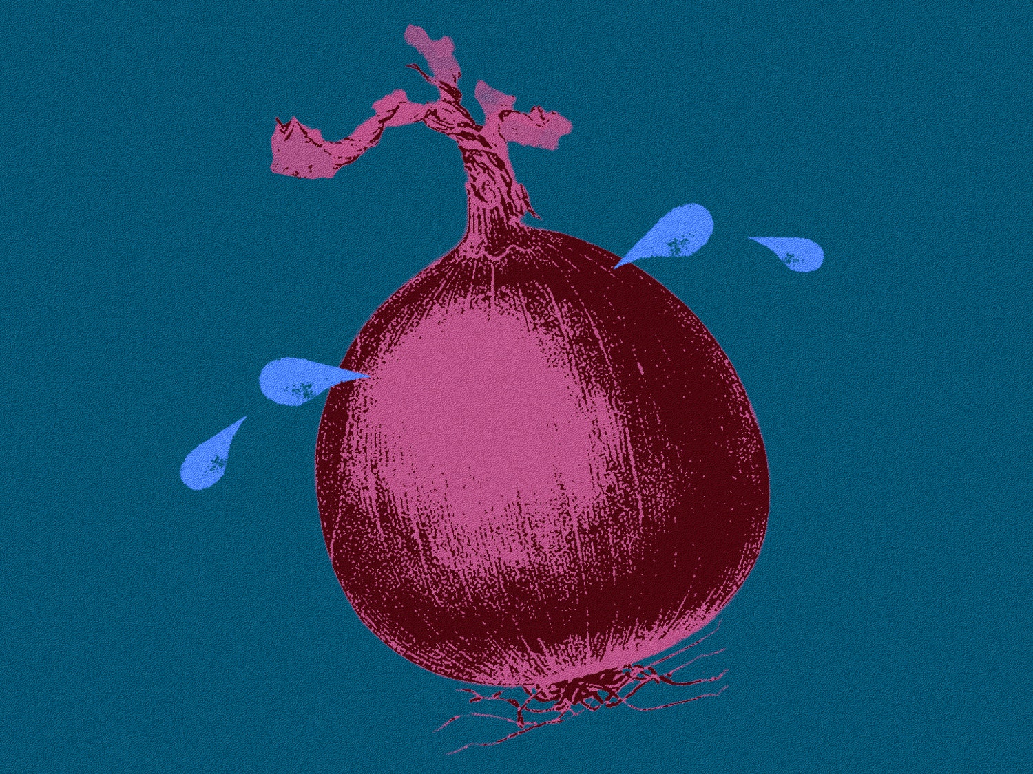 Why Do Onions Make You Cry? Biology