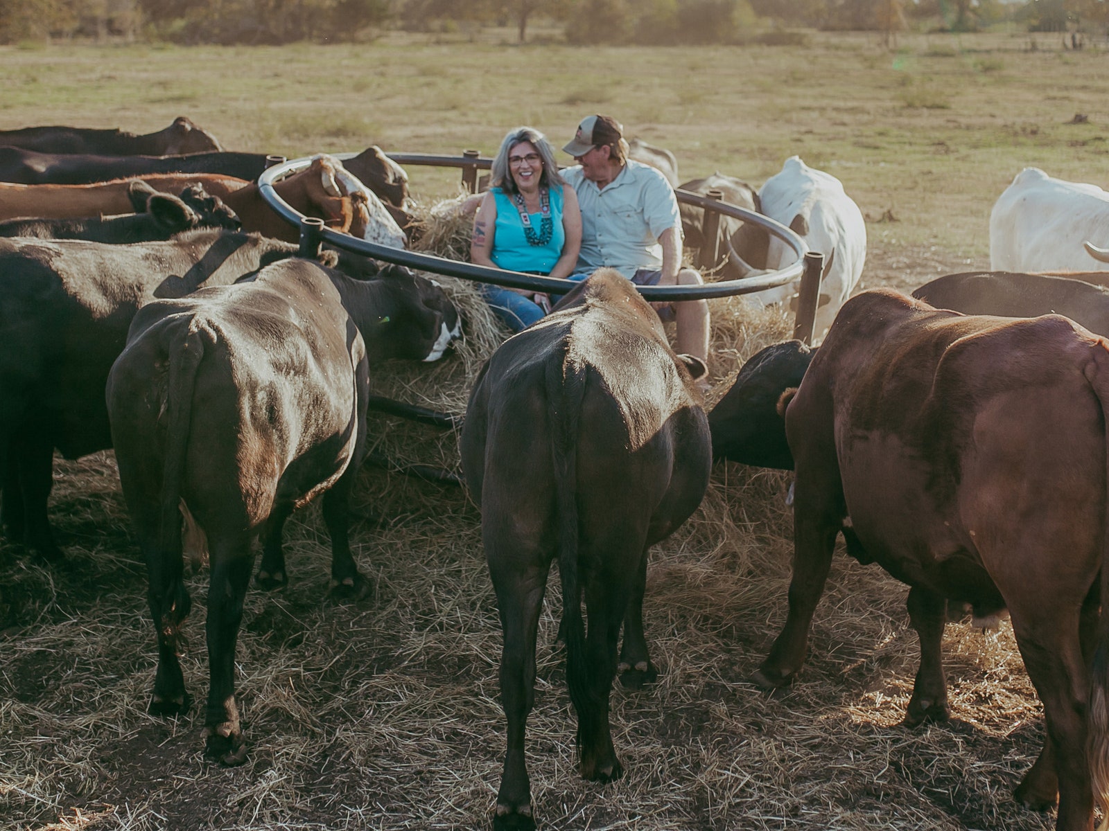 The Texas Cattle Ranchers Who Went Vegan