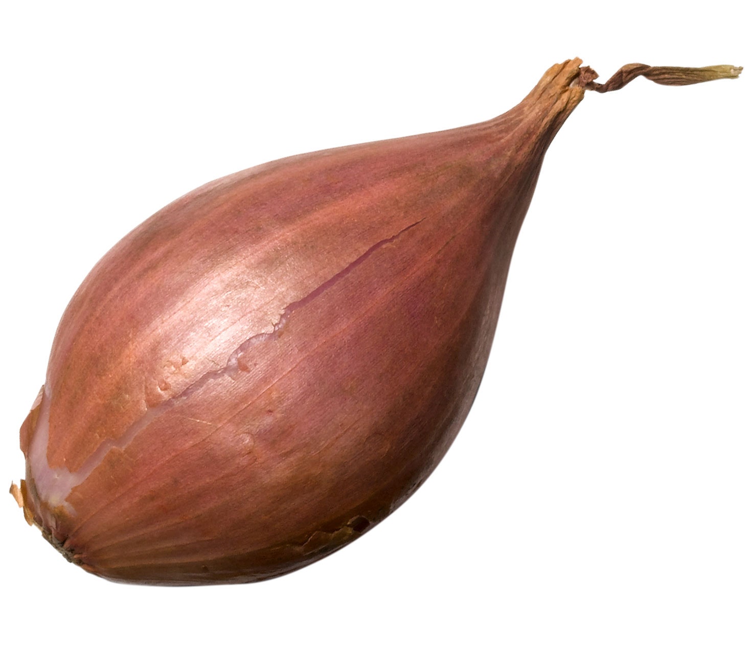 Image may contain Plant Vegetable Food Shallot and Onion